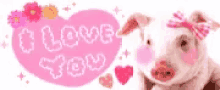 a pig with a pink bow on its head is standing next to a pink heart that says `` i love you '' .
