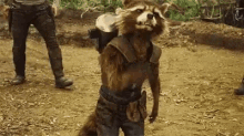 Rocket Raccoon Gotg GIF - Rocket Raccoon Gotg Guardians Of The Galaxy GIFs