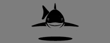 Math Shark GIF - Math Shark Animated GIFs