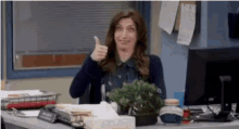 gina linetti chelsea peretti parks and rec thumbs down sink