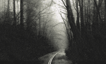 Scary Road GIF - Scary Road Slenderman GIFs