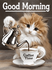 a cat is pouring coffee into a cup which says coffee time