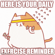 a cartoon cat is lifting a dumbbell with the words here is your daily exercise reminder