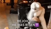 Happy Easter GIF - Happy Easter Wednesday GIFs