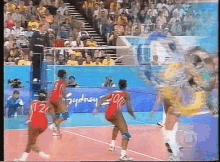 Godina Volleyball GIF - Godina Volleyball Spike GIFs