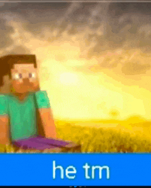 a picture of a minecraft character sitting in a field