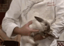 GIF
