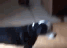 Why Won'T You Let Me Walk You? GIF - Dog Puppy Drag GIFs