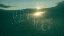 the word voce is written in the water with the sun shining through