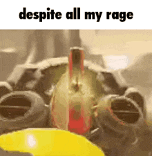 a picture of a chicken with the words despite all my rage