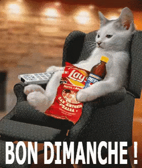 Bon Dimanche ! GIF - Bon Dimanche Cat - Discover & Share GIFs