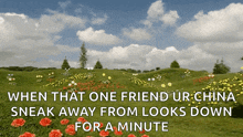 a picture of a field of flowers with the caption when that one friend ur china sneak away from looks down
