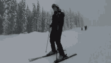 Skiing Skifail GIF - Skiing Skifail Fail GIFs