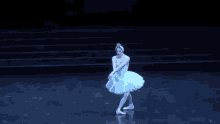Ballet Dancing GIF - Ballet Dancing Ballet Dance GIFs