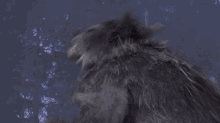 loup wolf werewolf van helsing angry