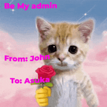 a cat is holding a red rose with the words be my admin from john to asuka