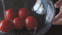 Pouring Hot Water On Tomatoes Two Plaid Aprons GIF