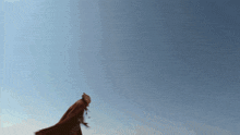 a person in a cape is flying through a clear blue sky
