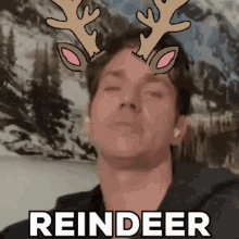 Reindeer Kevinmcgarry GIF - Reindeer Kevinmcgarry Funny GIFs