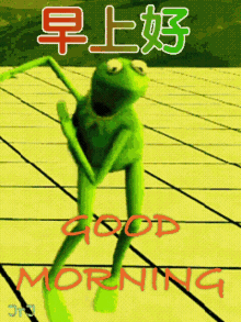 早安 早上好 GIF - 早安 早上好 Frog GIFs