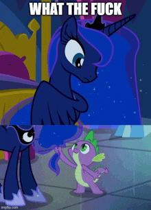 a cartoon of a pony and a dragon with the words what the fuck above them