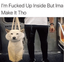 a man is carrying a dog in a bag on the subway