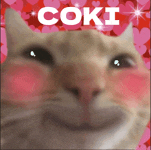 Coki Love Porto GIF - Coki Love Porto GIFs