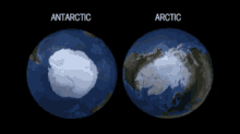 antartica artic