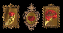 Roses Wrapped In Gold GIF - Roses Wrapped In Gold Red Roses GIFs
