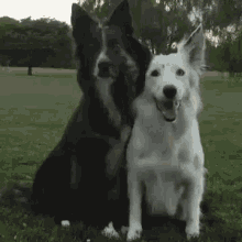 Hugs Dog GIF - Hugs Dog Whos Your Bestfriend GIFs