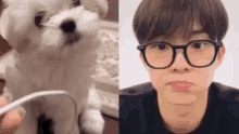 Changmin Dog GIF - Changmin Dog GIFs