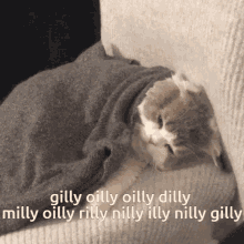 good morning gilly oilly oilly dilly milly oilly rilly nilly illy nilly gilly cat