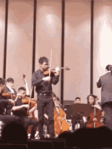 Violin Orchestra GIF - Violin Orchestra GIFs