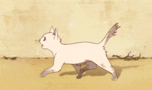 Kitty Cat GIF - Kitty Cat Run GIFs
