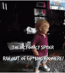 Baby Spider GIF - Baby Spider Scared GIFs