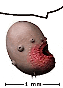 a close up of a cartoon character 's face with a speech bubble .