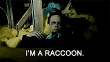 Raccoon Im A Raccoon GIF