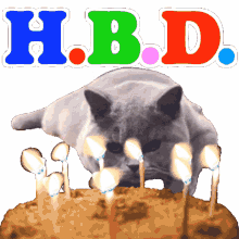 travis band hbd happy birthday birthday cake