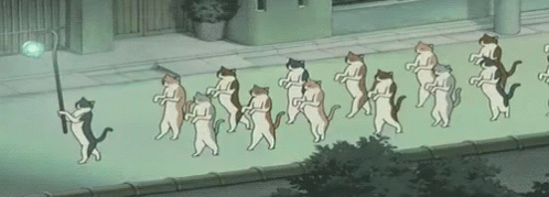 Leader GIF - Leader Cats Anime GIFs