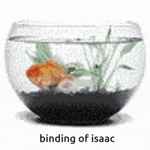 Bindingofisaac Fish GIF - Bindingofisaac Fish Fishbowl GIFs