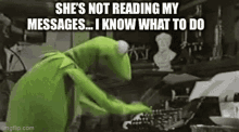 Spam Kermit GIF - Spam Kermit The GIFs