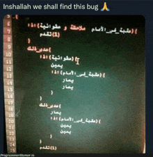 a computer screen with the words inshallah we shall find this bug written on it