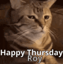 Roy Ctt Happy Thursday GIF - Roy Ctt Roy Ctt GIFs