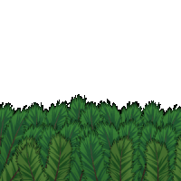 a cartoon penguin says i 'm here while hiding behind a bush
