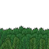 a cartoon penguin says i 'm here while hiding behind a bush