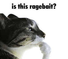 a picture of a cat with the words " is this ragebait " below it