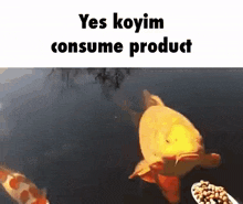 Koyim Consume Product GIF - Koyim Consume Product Koi GIFs