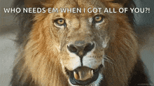 a close up of a lion with the words who needs em when i got all of you