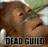 Dead Guild Death Guild GIF - Dead Guild Death Guild Dead Clan GIFs