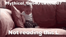 Mythical Cat40 Tweeted GIF - Mythical Cat40 Tweeted Baby GIFs